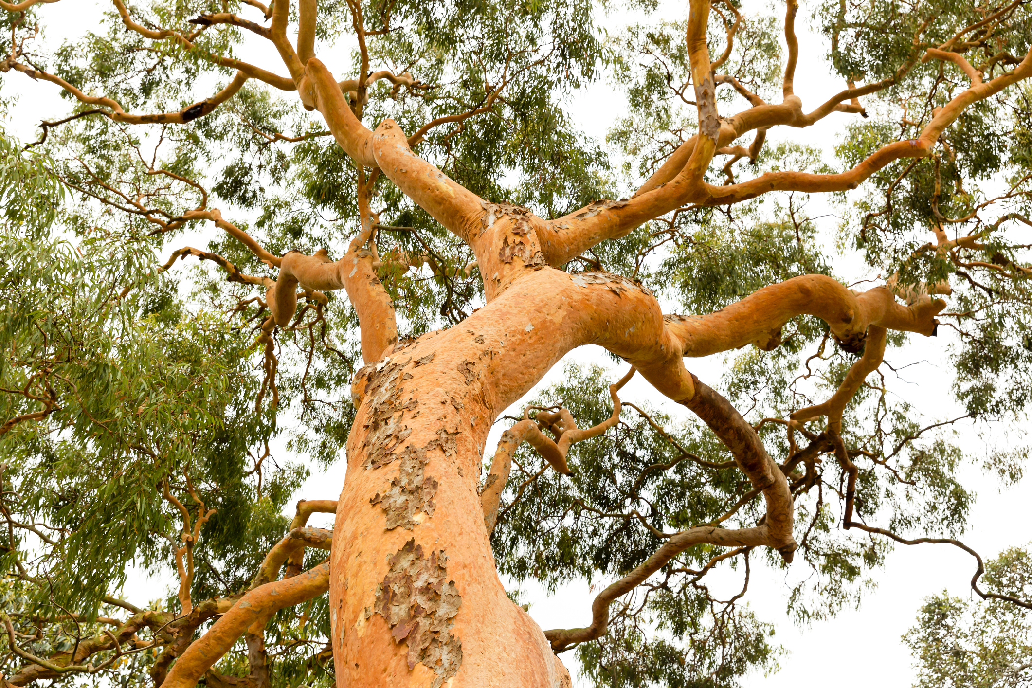 Featured image for “Industry Training: Native Title and Cultural Heritage Law in Victoria”