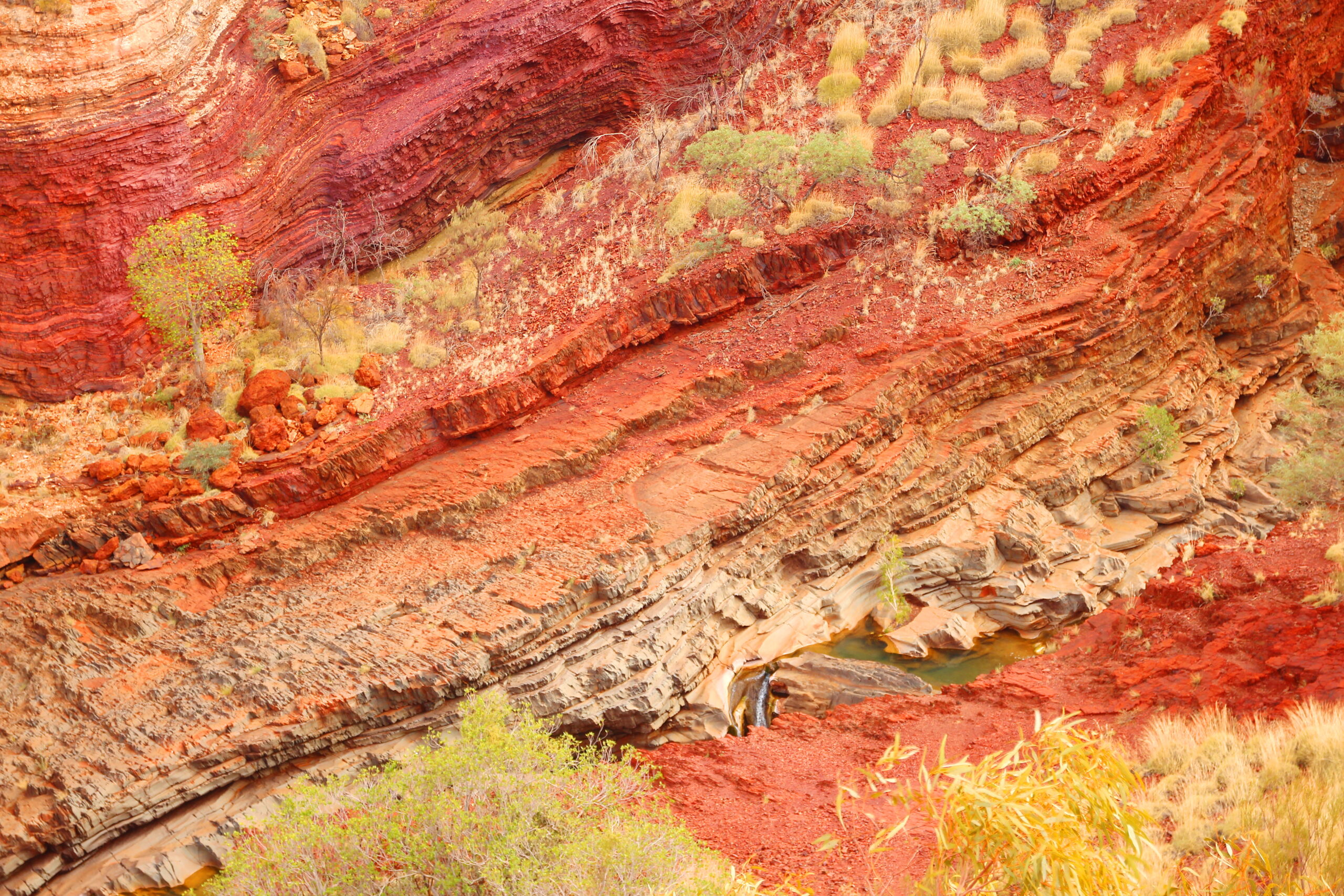 Featured image for “Native Title and Cultural Heritage Law in Queensland: professional development seminar”